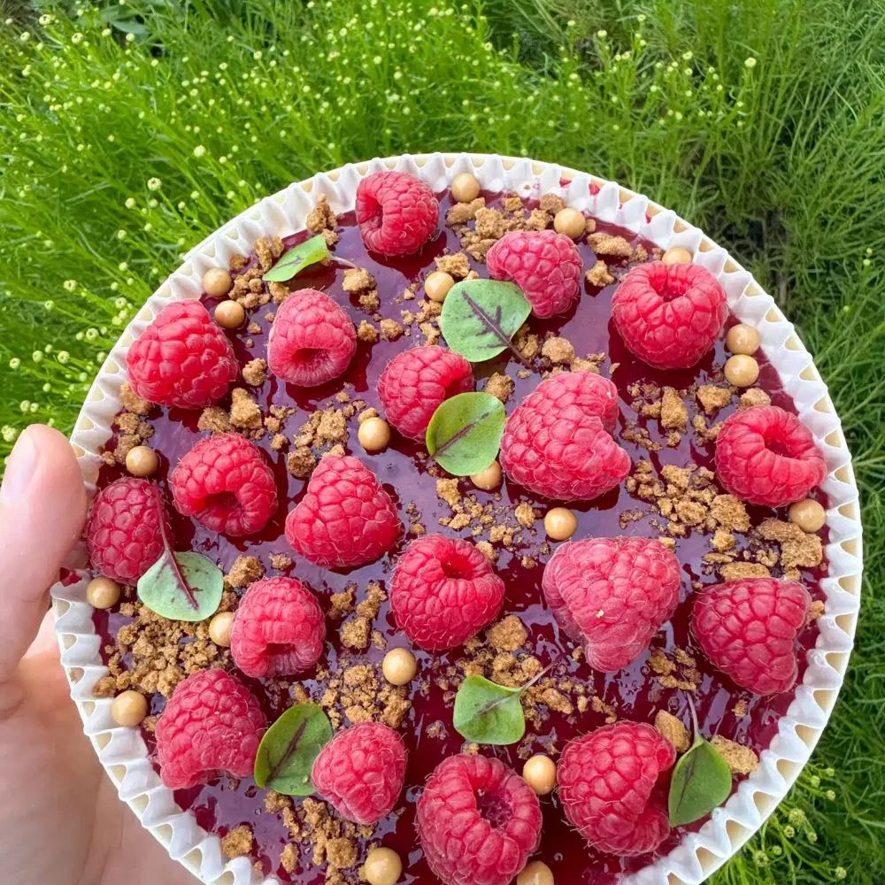 Tiramisu Framboise Speculoos  Grande Boite