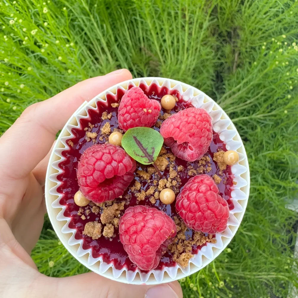 Tiramisu Framboise Speculoos Petite Boite