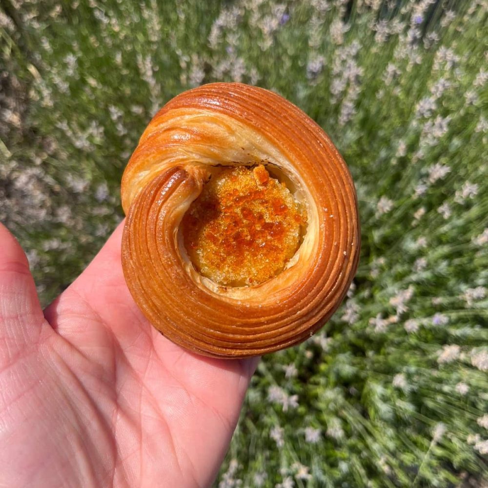 Brioche crème brûlée